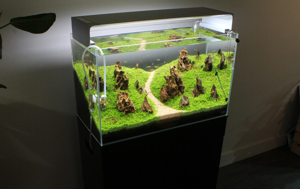 Aquaria Cabinet
